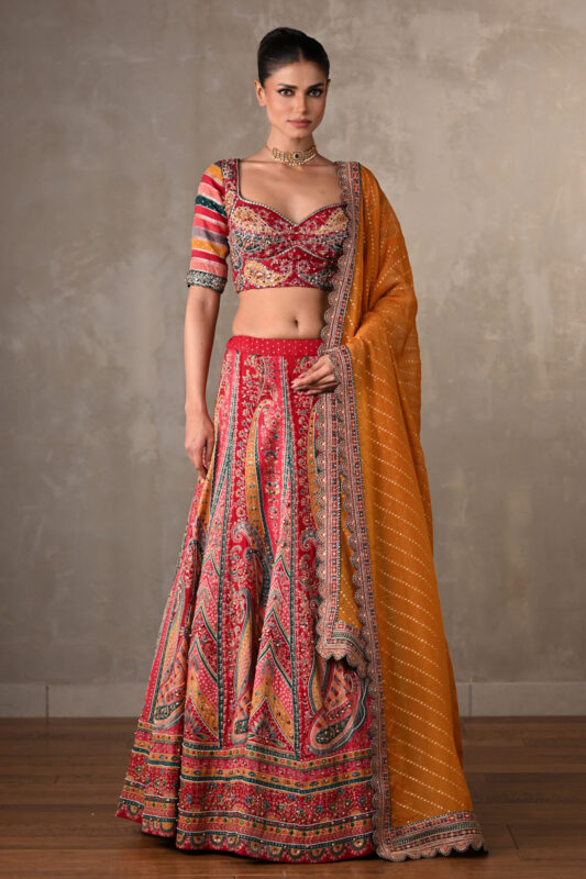Embroidered Organza Lehenga Choli