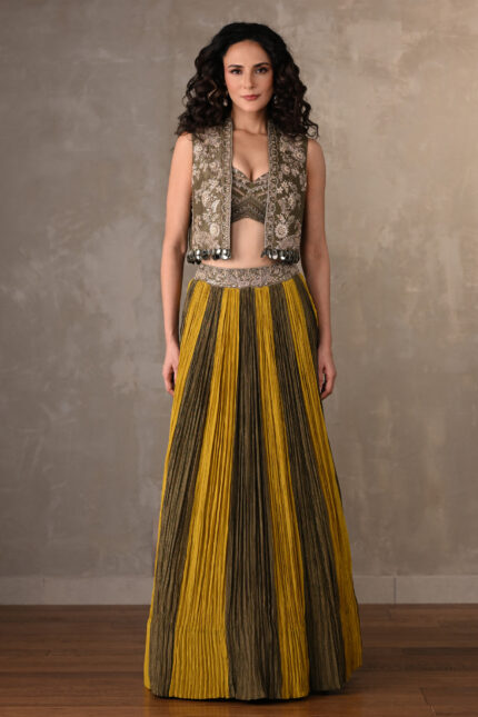 Panelled Lehenga Choli