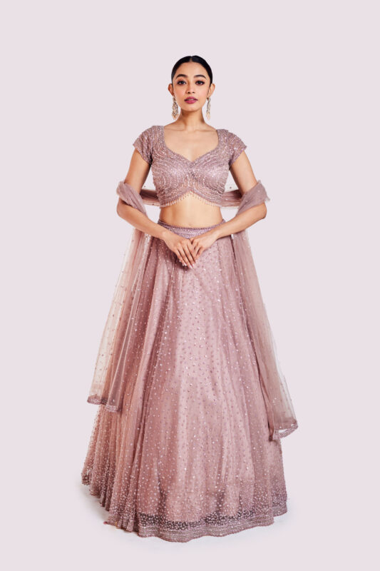 Net Sequenced Lehenga