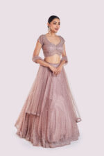 Net Sequenced Lehenga