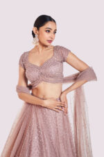 Net Sequenced Lehenga