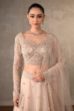 Beige Lehenga Choli Set