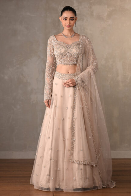 Beige Lehenga Choli Set