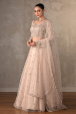 Beige Lehenga Choli Set