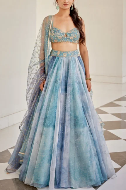 Organza Lehenga Set