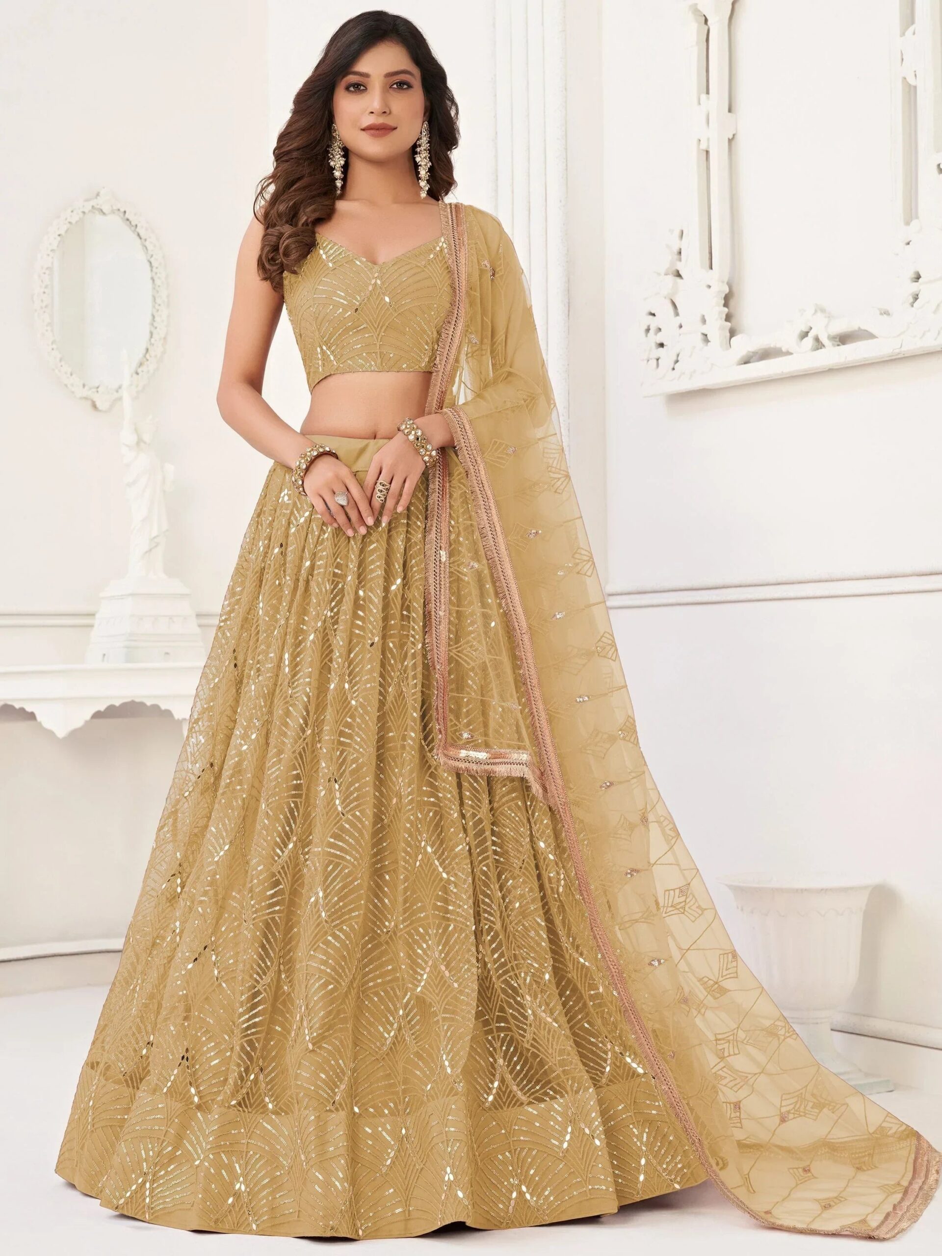 enchanting-light-brown-sequins-net-festival-wear-lehenga-choli-3013526.jpg