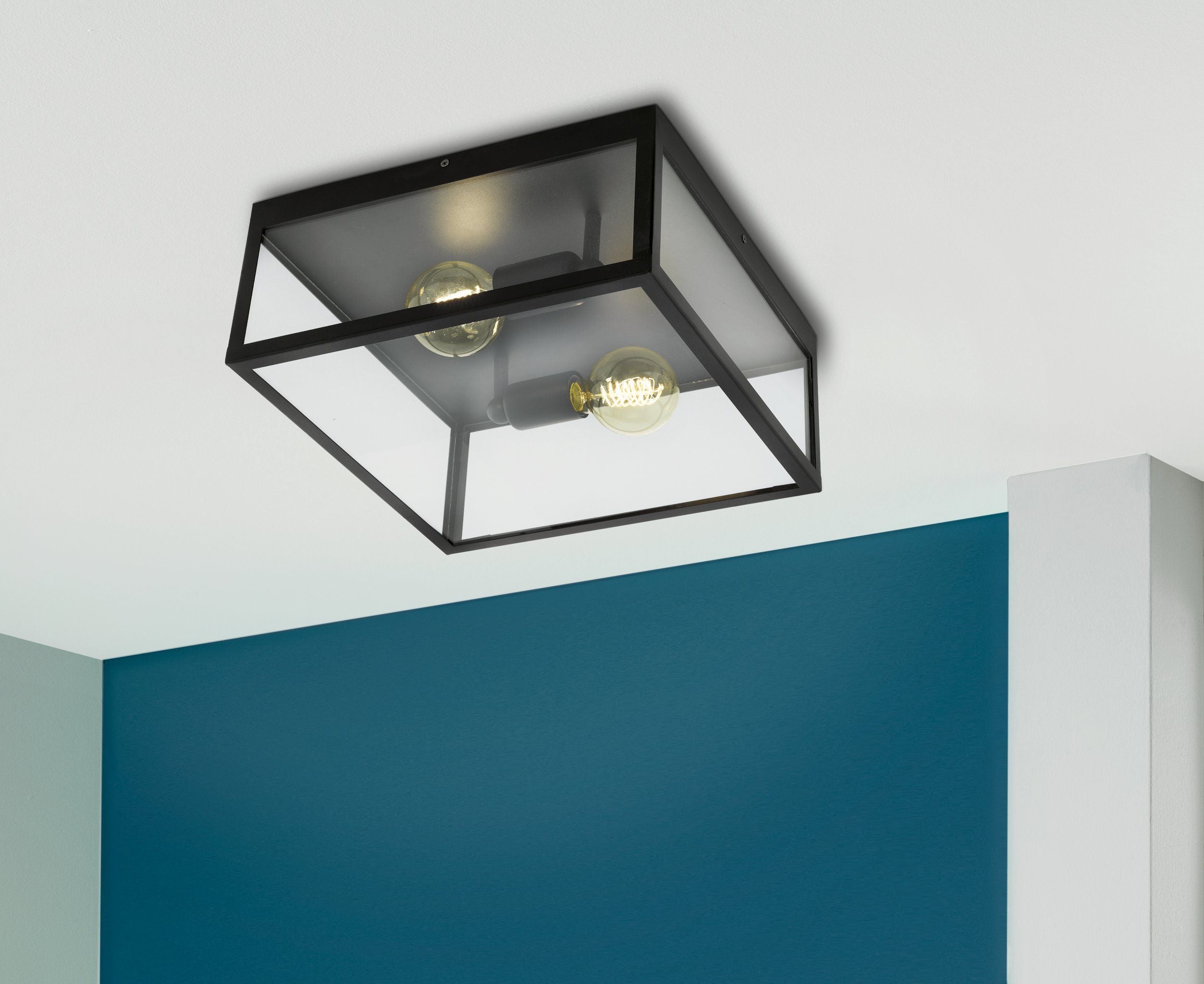 2-bulb-steel-ceiling-light-with-black-clear-glass-CL640_4.jpg