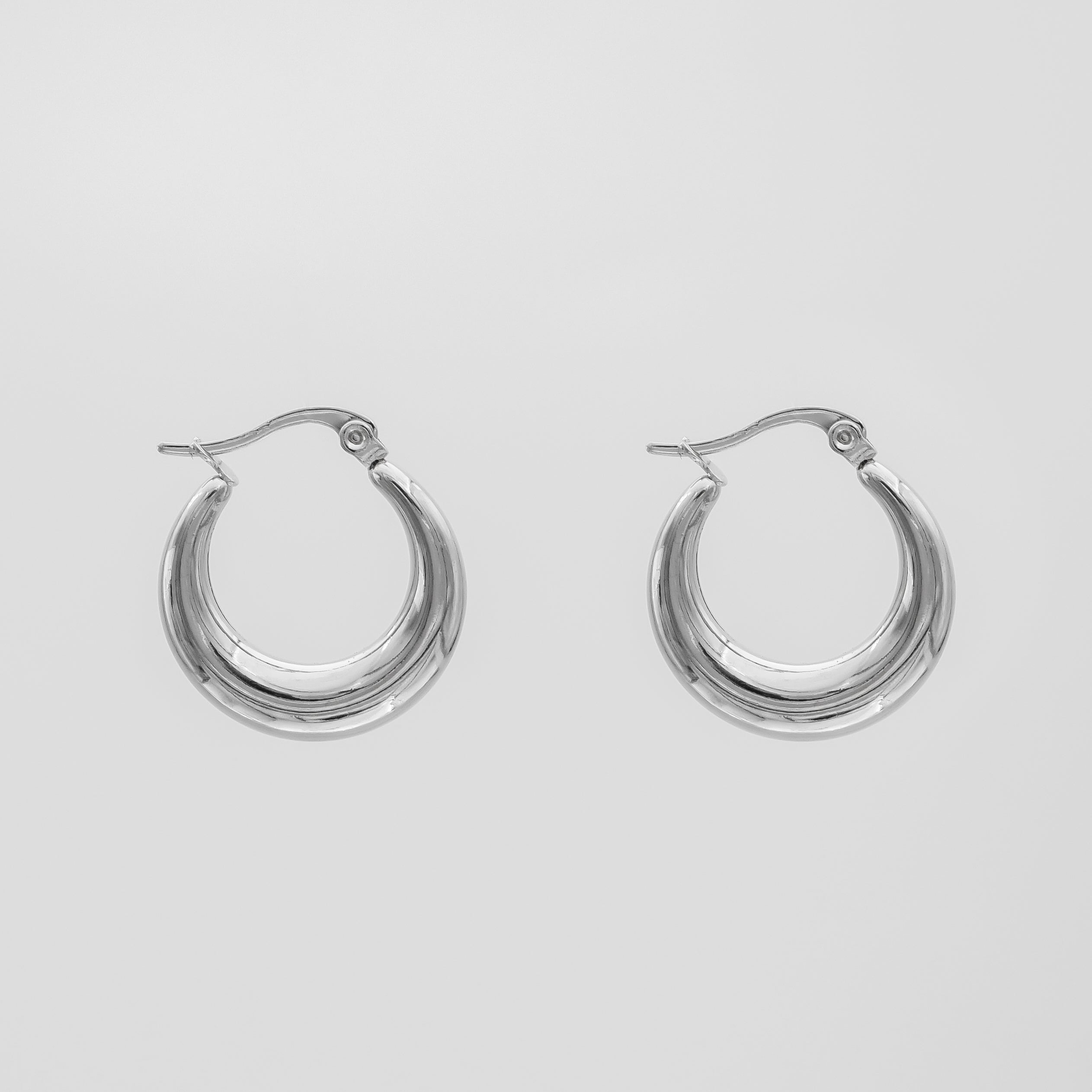 P1310576silver-Recovered.jpg